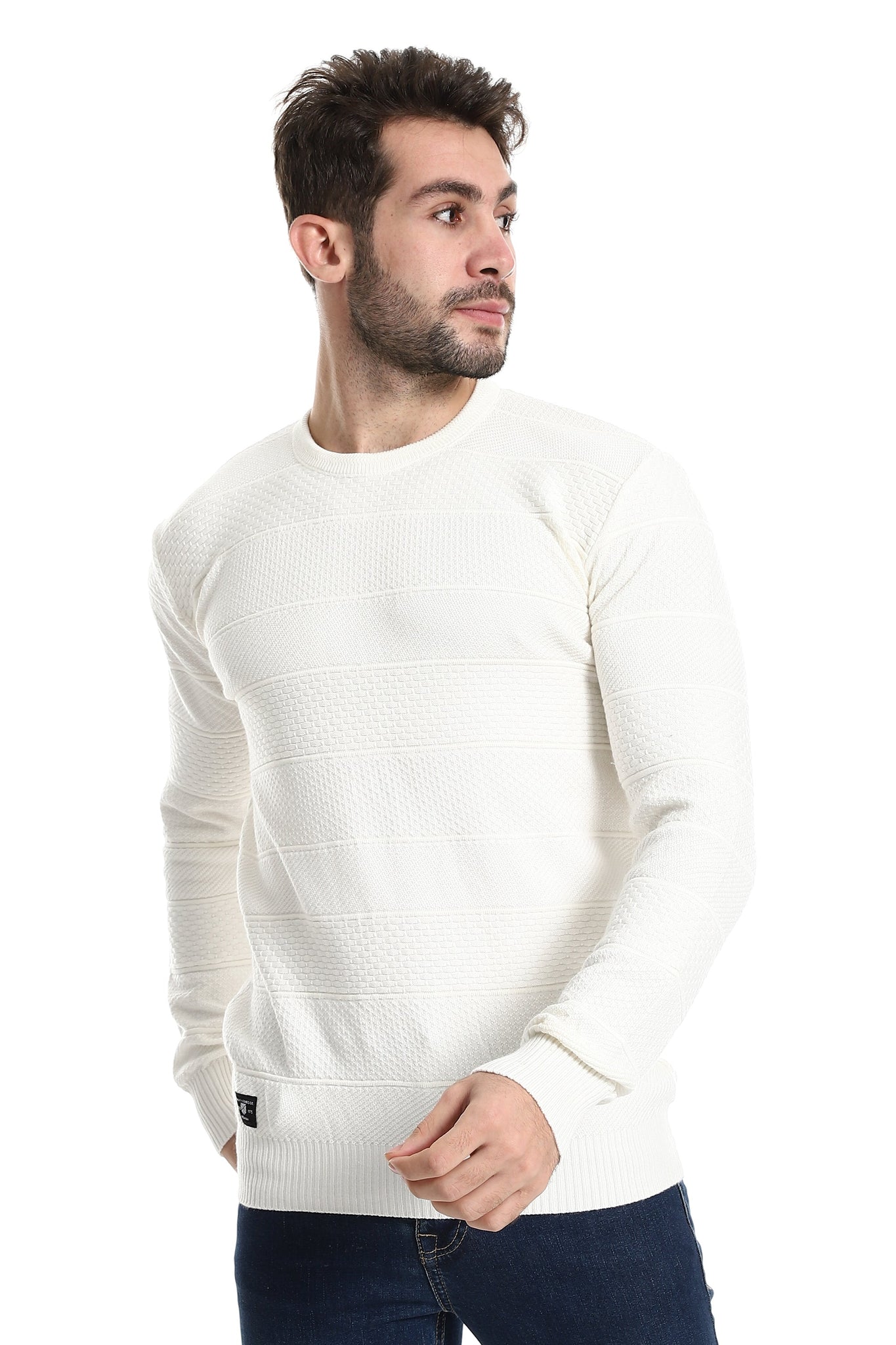Self Patterned Round Neck Pullover