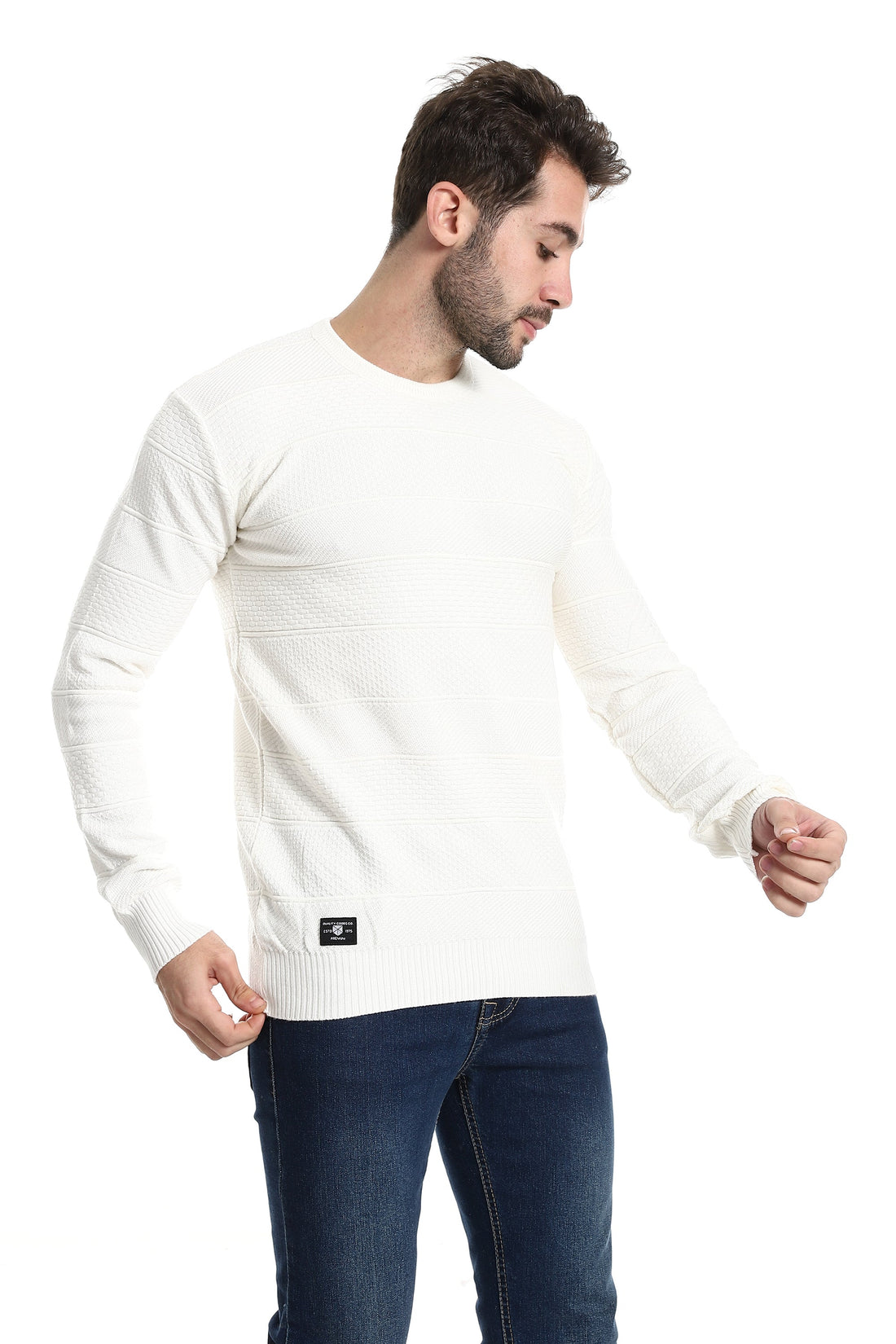 Self Patterned Round Neck Pullover